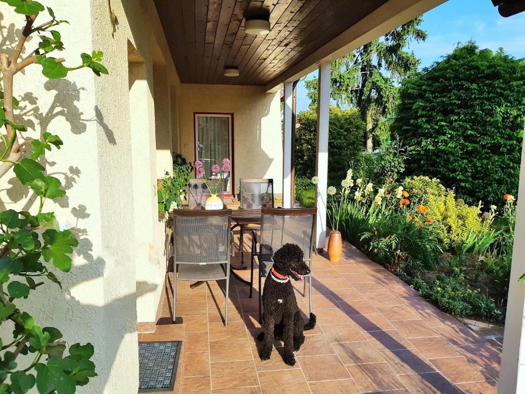 Ferienwohnung Petronela Варен Екстер'єр фото